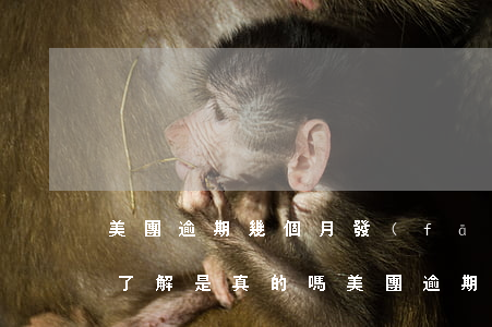 美團逾期幾個月,發(fā)信息給我說走訪了解是真的嗎，美團逾期數(shù)月，接獲短信稱將進行實地走訪調(diào)查，是否真實？